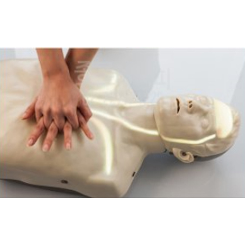 INNOSONIAN 심폐소생 마네킹 브레이든 혈행형 IM13K