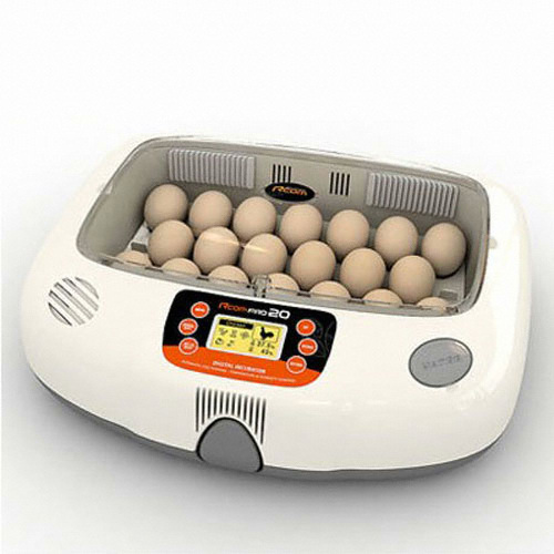 알콤  프로 20 (PX-20)