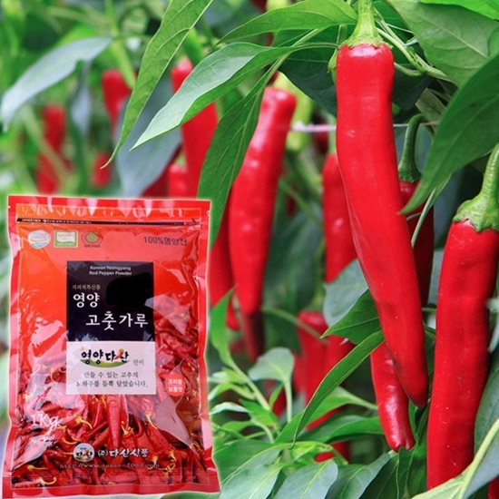 다산식품 햇 영양 청결 고춧가루 1.5kg