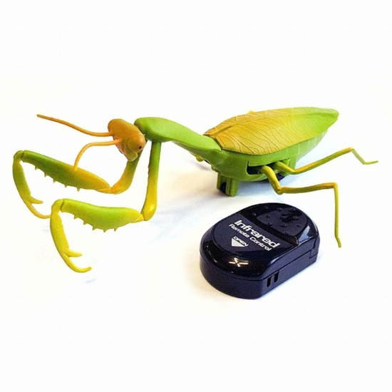 반디  자이언트 사마귀