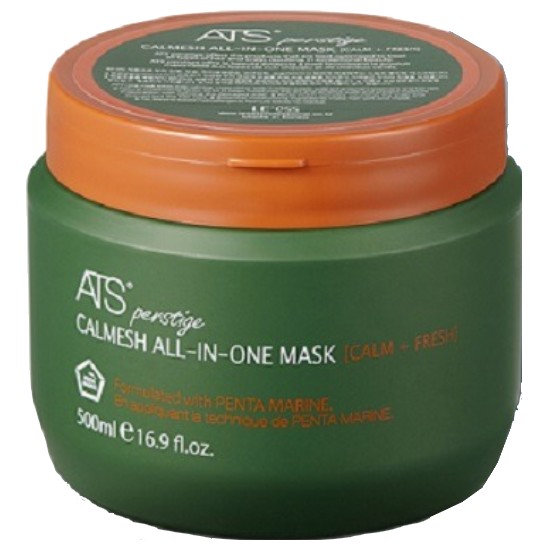 ATS 카미시 올인원 마스크 500ml