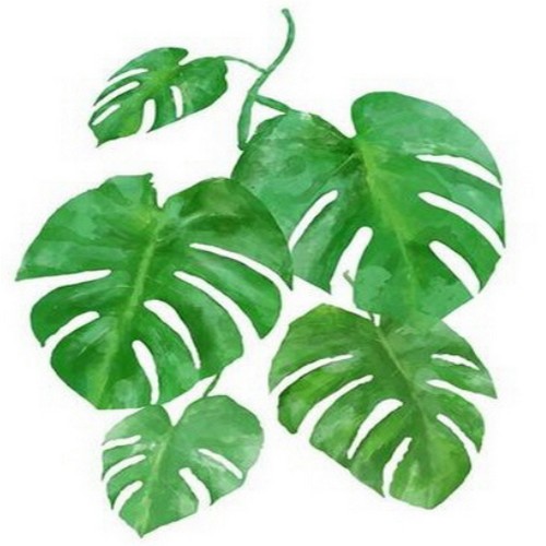 피포페인팅  DIY 그림그리기 Q3222 보태니컬 잎