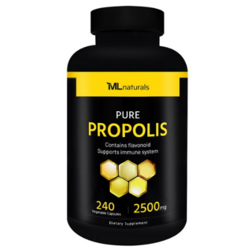 마이라이프 퓨어 프로폴리스 2500 (해외쇼핑) 240캡슐