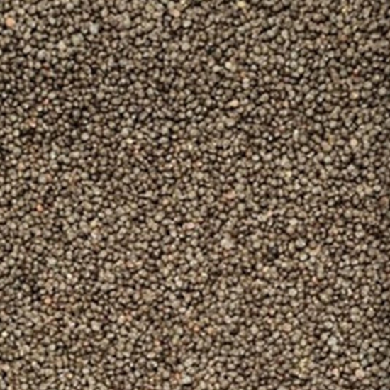 고방 2020 국산 들깨 6kg