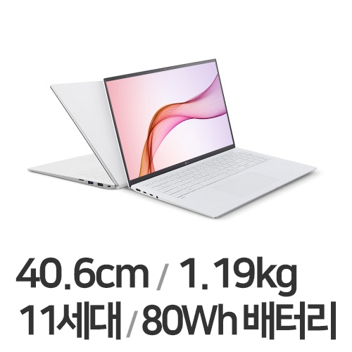 LG전자 2021 그램16 16ZD90P-GX50K
