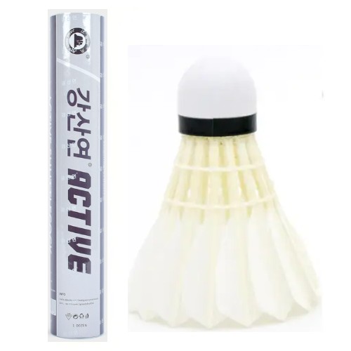 강산연  액티브