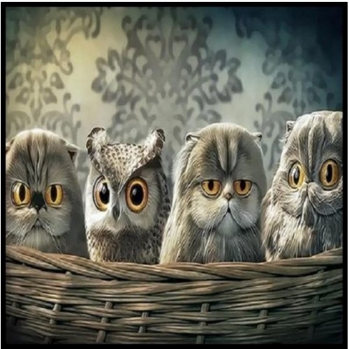 피포페인팅  DIY 명화그림그리기 Q3334 아기부엉이