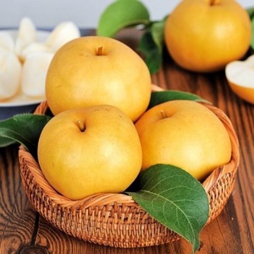 파머스토리  안순호님의 나주 배 20과 15kg