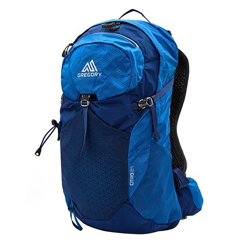 그레고리 시트로 24L