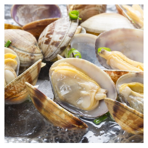 덕이네수산  남해안 왕 바지락 1kg