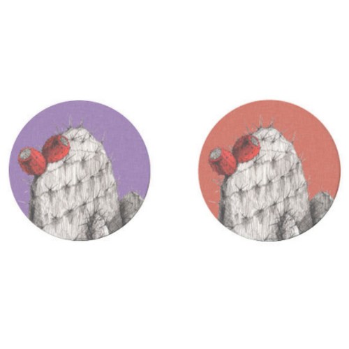 아칸  JOEDDOL 선인장 스마트톡