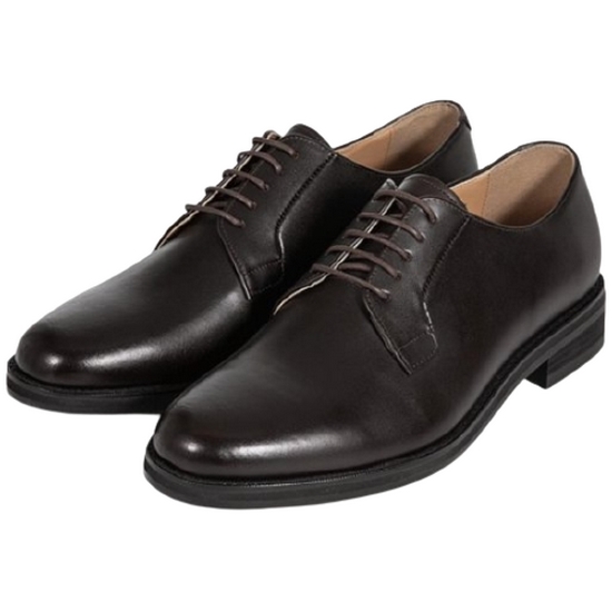 지이크파렌하이트  지이크파렌하이트 다크브라운 플레인토 더비슈즈 CA3502