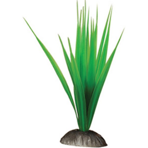 피쉬프라자 난 조화 15cm 2P