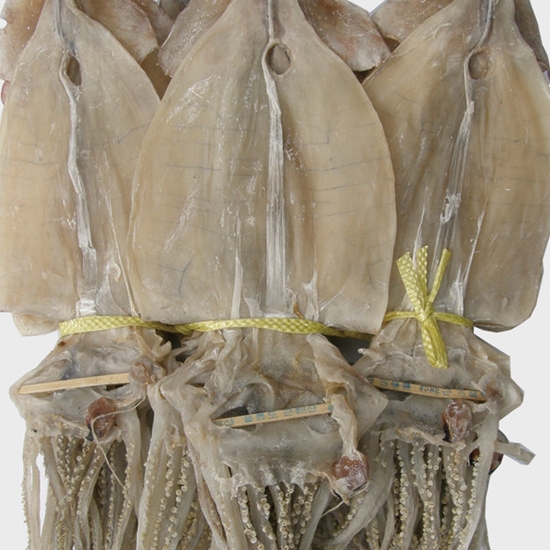 건어물천국  동해안 마른오징어 20미 1.5kg