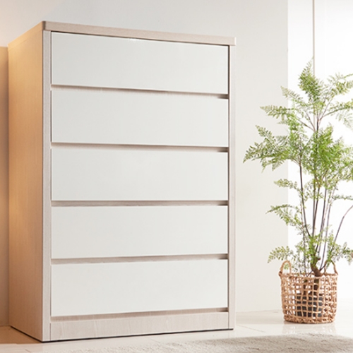 홈인홈 메가 칸칸이 5단 서랍장 1000