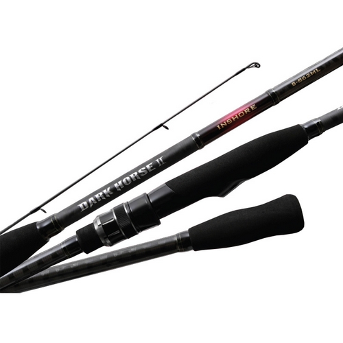 NS  블랙홀 다크호스2 인쇼어