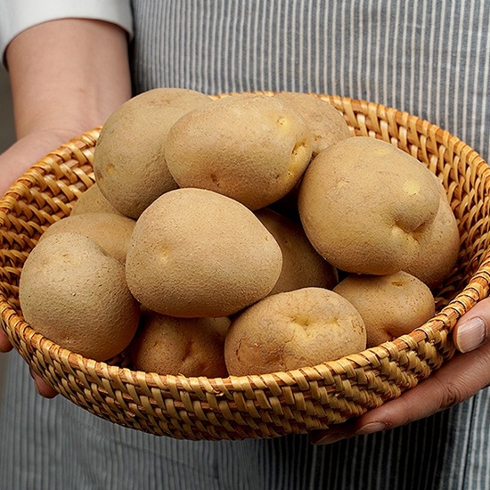 한아름농수산  못난이 감자 5kg