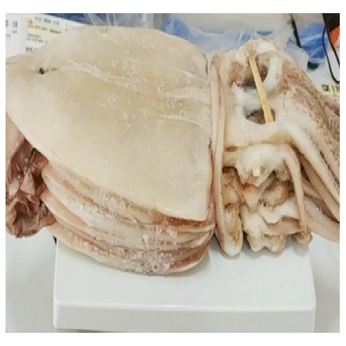 고성유통  반건조 오징어 피데기 특대 10미 1.9kg