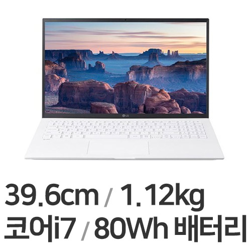 LG전자 2021 그램15 15Z95N-GA56K