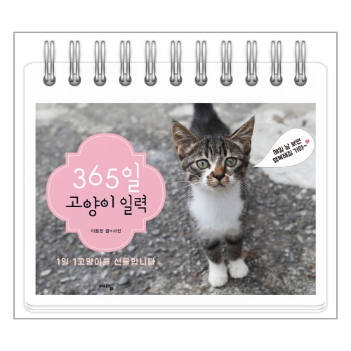 위즈덤하우스  2021 365일 고양이 일력