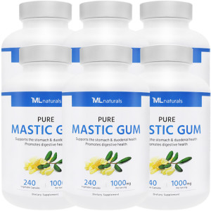 마이라이프 매스틱 검 1000mg 240정