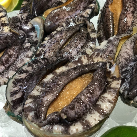 해신수산  완도 활전복 특특大 5-6미 1kg