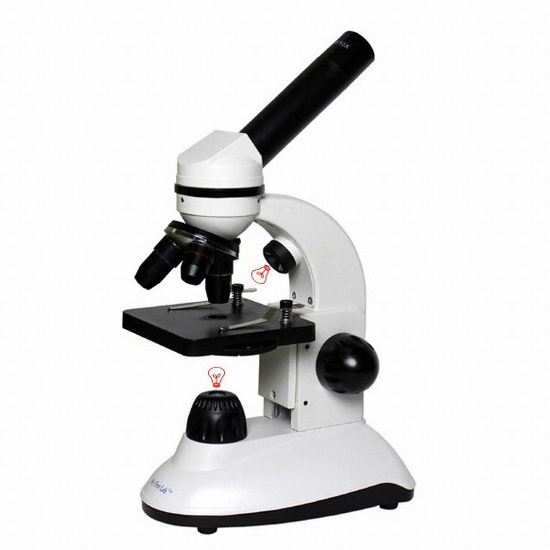 씨엔에이  MFL-06