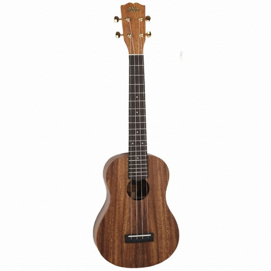 와일드우드  WT-500S