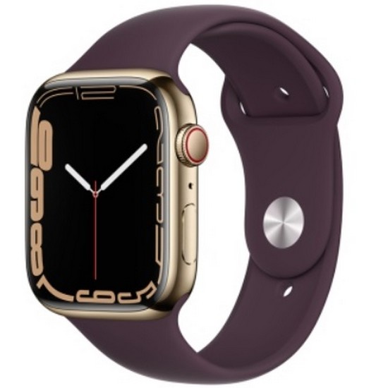 Apple  워치 시리즈7 45mm Cellular 골드 스테인리스 스틸