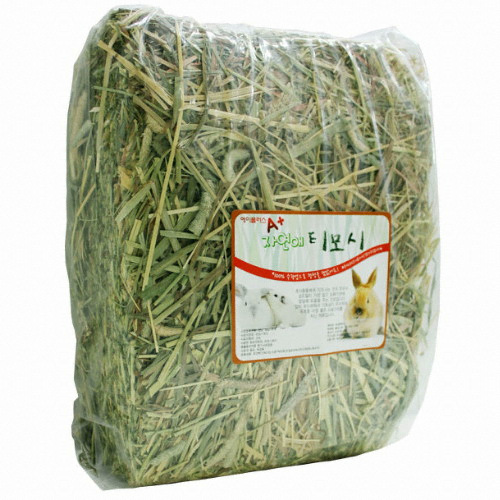 플러스펫  제네시스 래빗 티모시 성토