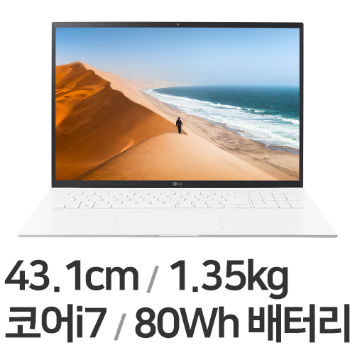 LG전자 2022 그램17 17Z95P-GA76K