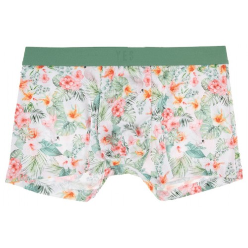 YES 속옷 YSMDX601 YES 예스 트로피칼 입체볼륨드로즈 YSMDX601