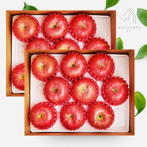 웰굿즈  청송 주왕산 사과선물세트 10-12과 5kg