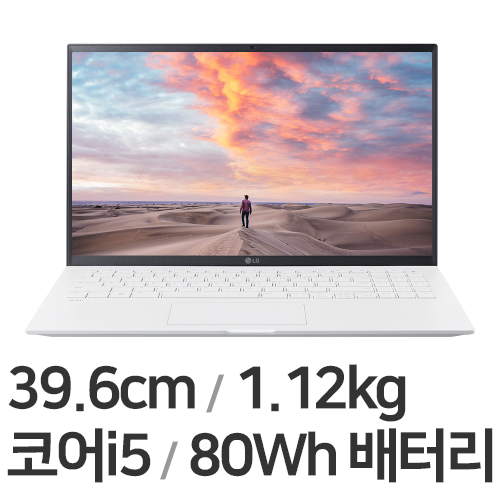 LG전자 2022 그램15 15ZD95P-GX56K