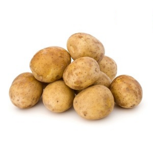 착한식탁  국내산 햇 감자 대 10kg