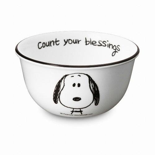 코렐 스누피앤찰리에디션 코리안 공기