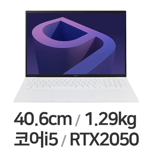 LG전자 2022 그램16(12세대) 16ZD90Q-EX56K