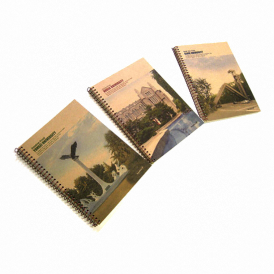 반딧불  명문대연습장 2000