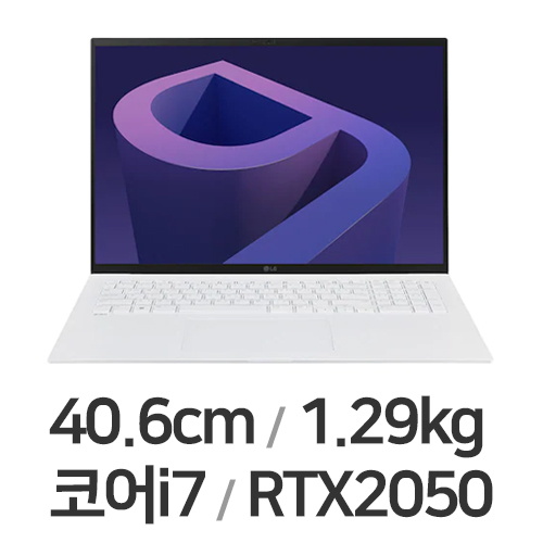 LG전자 2022 그램16(12세대) 16ZD90Q-EX76K WIN11