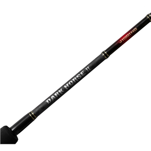 NS  블랙홀 다크호스2 지깅