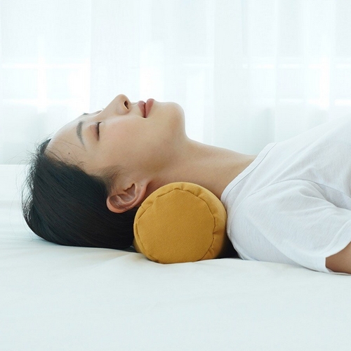 리브맘 안녕거북이 경추베개