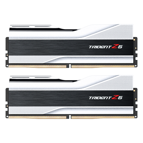 G.SKILL  DDR5-6000 CL30 TRIDENT Z5 J 실버