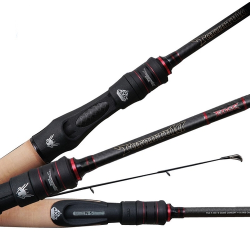 NS  타란튤라 엣지