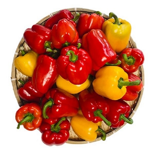 어글리베지  못난이 파프리카 혼합 5kg