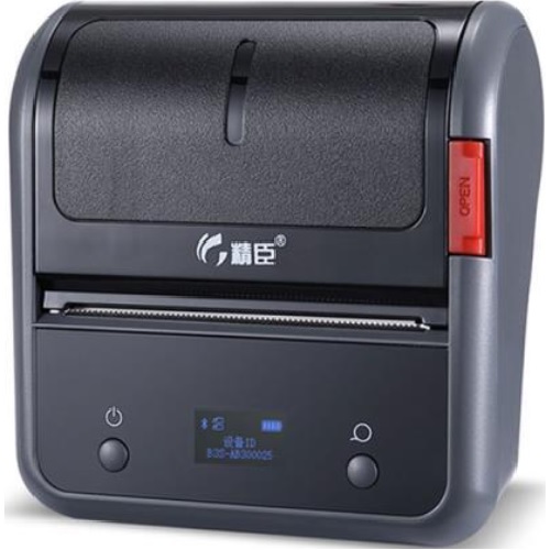 Niimbot  B3S