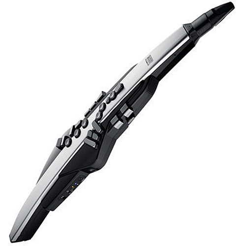 롤랜드  에어로폰 프로 AE-30