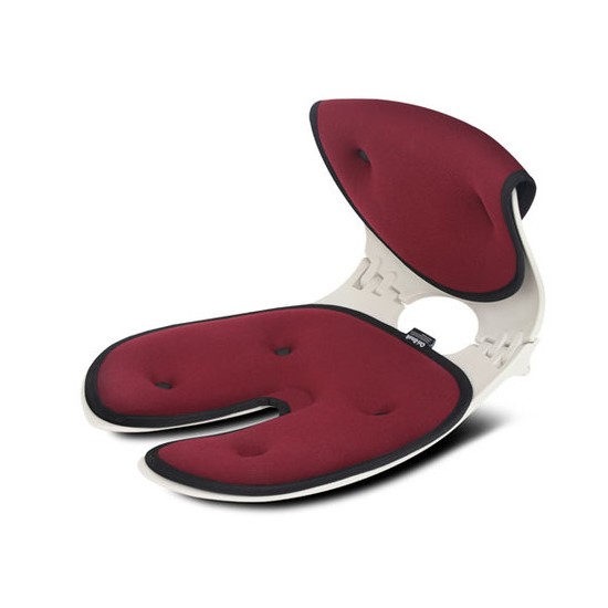 체어플러스  오리백 COC 베이직형 자세교정 의자