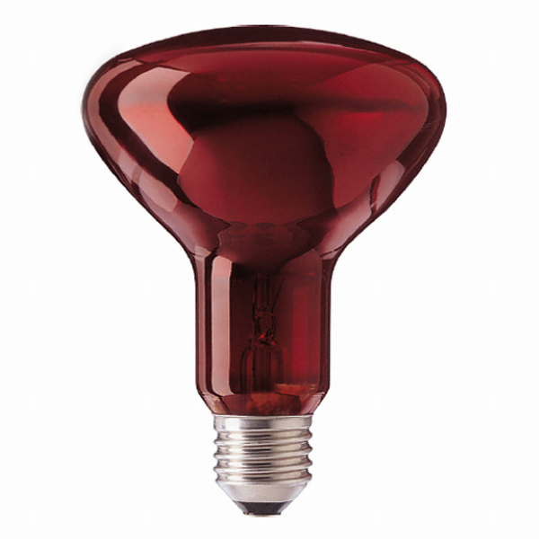 필립스 적외선 전구 100W