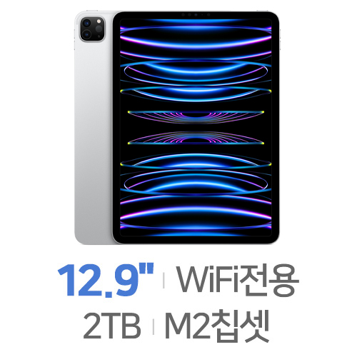 APPLE  2022 iPad Pro 12.9 6세대