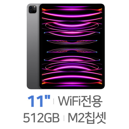 APPLE  2022 iPad Pro 11 4세대